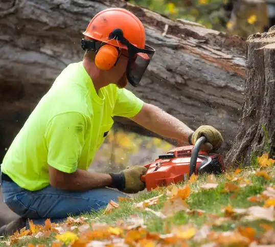 tree services St. Robert